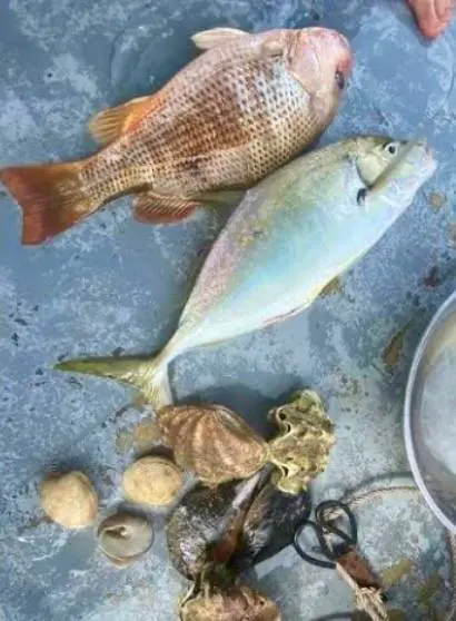 МОРСКАЯ РЫБАЛКА