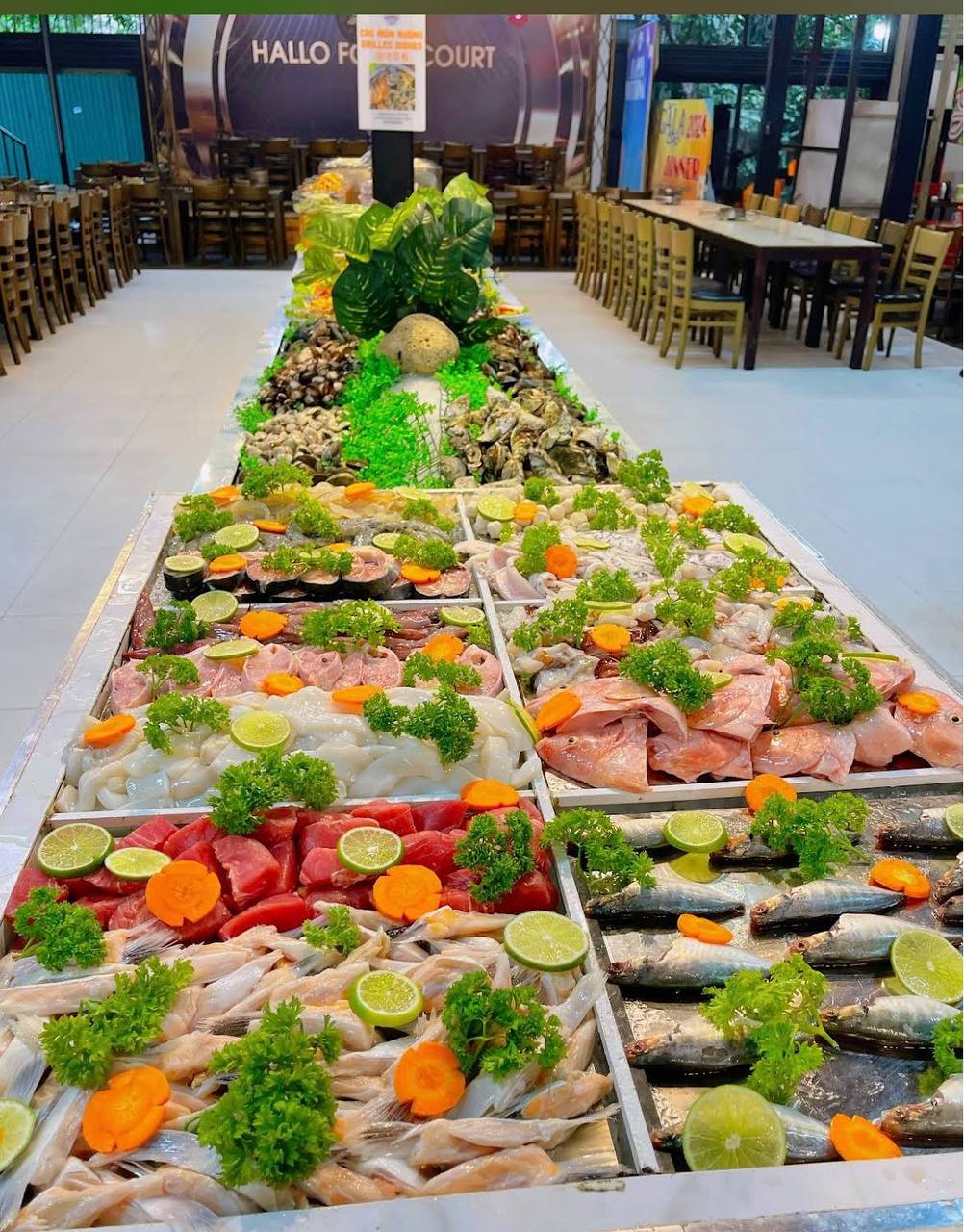 Zallo Viễn Triều: фото 4