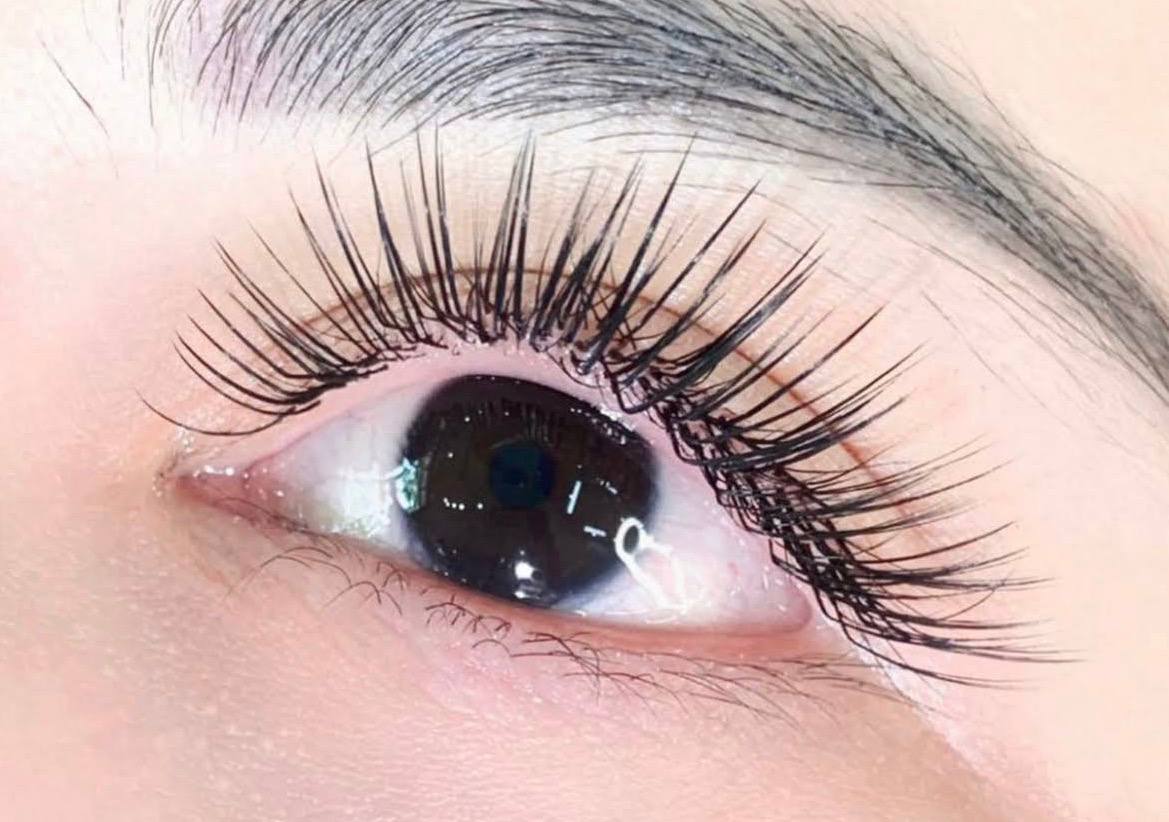 Bee Eyelash Beauty & Care: фото 2