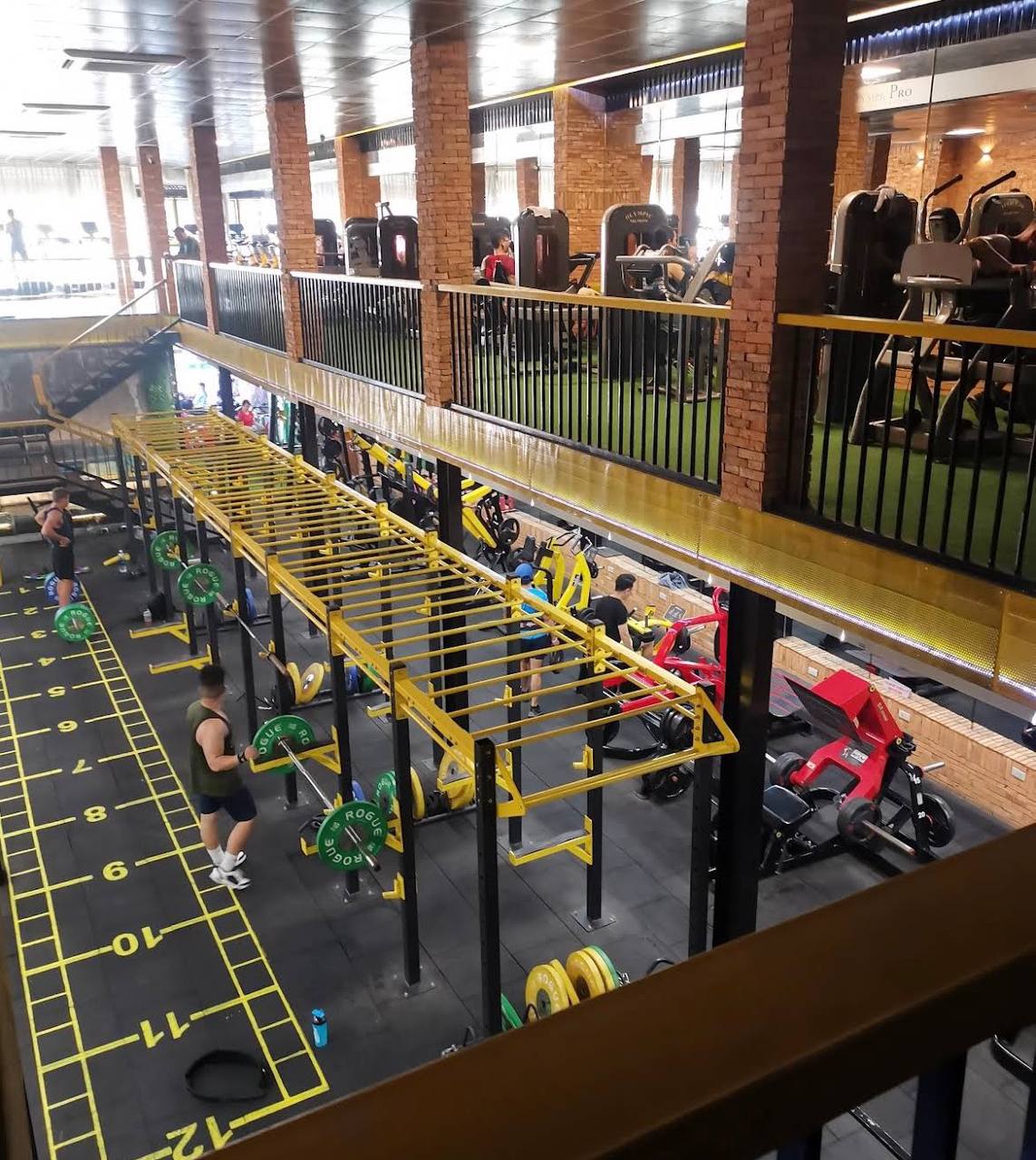 Olympic Gym & Fitness: фото 2